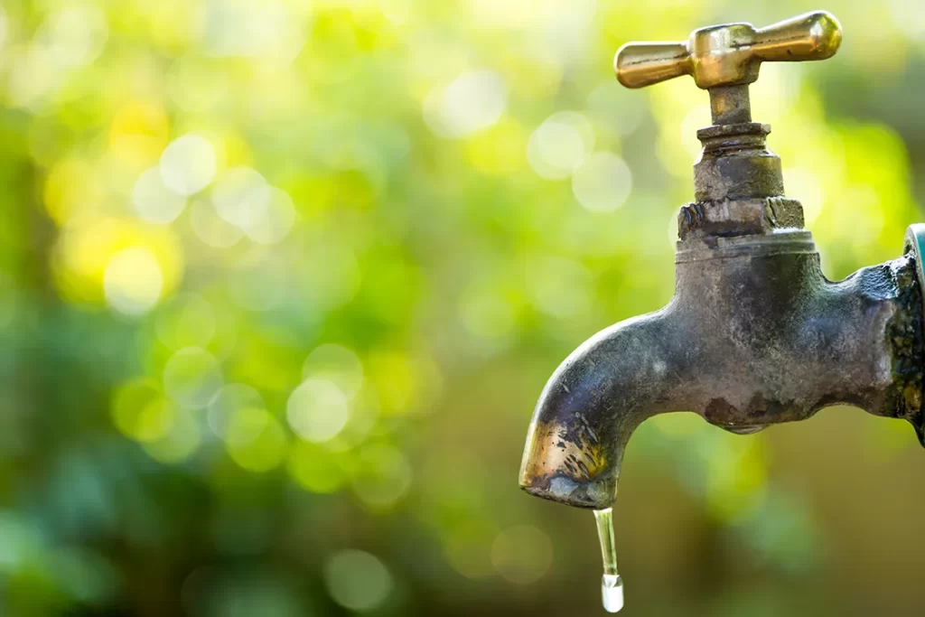 Green-Plumbing-Eco-Friendly-Solutions