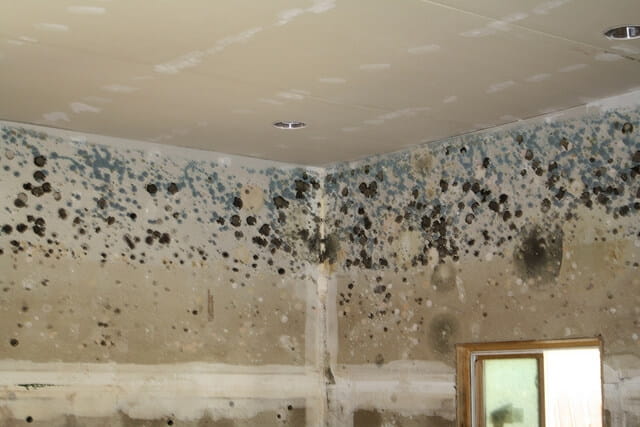 Dark or discolored patches on walls, ceilings, or floor